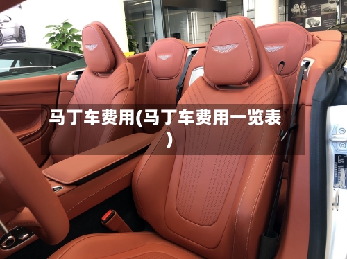马丁车费用(马丁车费用一览表)