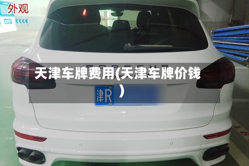 天津车牌费用(天津车牌价钱)-第2张图片