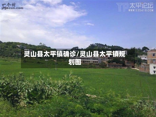 灵山县太平镇确诊/灵山县太平镇规划图-第2张图片