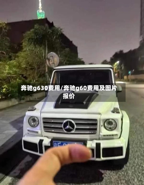 奔驰g630费用/奔驰g60费用及图片报价