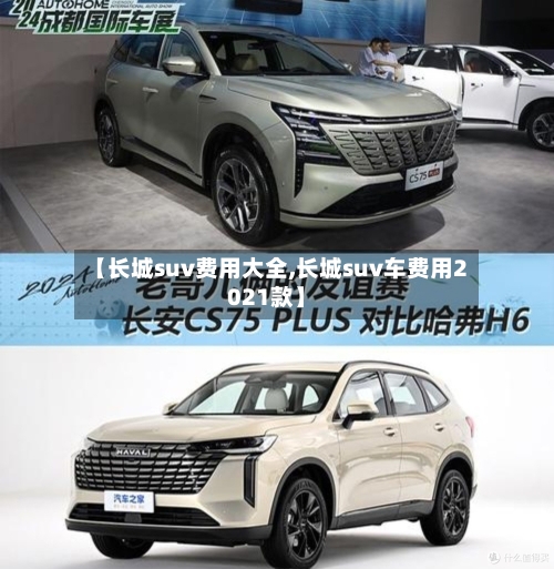 【长城suv费用大全,长城suv车费用2021款】-第3张图片