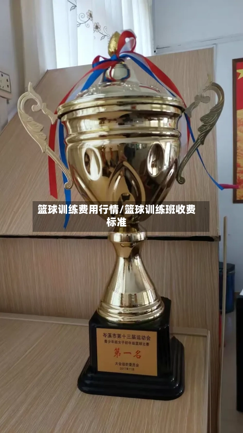 篮球训练费用行情/篮球训练班收费标准-第3张图片