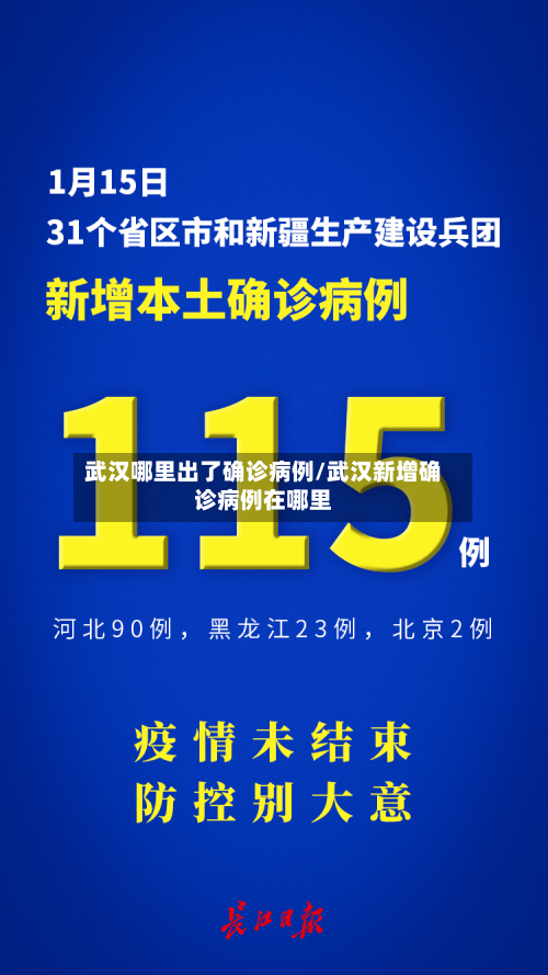 武汉哪里出了确诊病例/武汉新增确诊病例在哪里