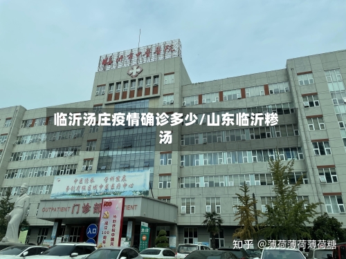 临沂汤庄疫情确诊多少/山东临沂糁汤