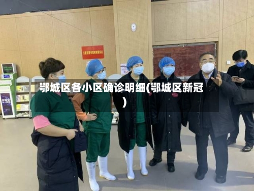 鄂城区各小区确诊明细(鄂城区新冠)-第2张图片