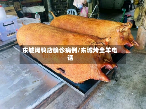 东城烤鸭店确诊病例/东城烤全羊电话-第3张图片