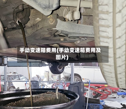 手动变速箱费用(手动变速箱费用及图片)-第3张图片