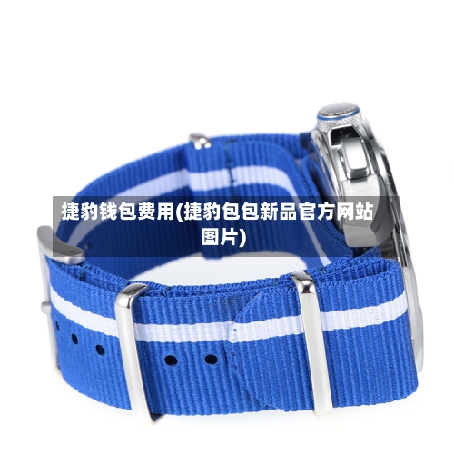 捷豹钱包费用(捷豹包包新品官方网站图片)