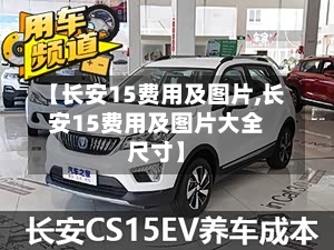 【长安15费用及图片,长安15费用及图片大全尺寸】-第2张图片
