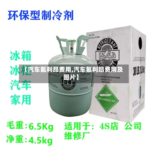 【汽车氟利昂费用,汽车氟利昂费用及图片】