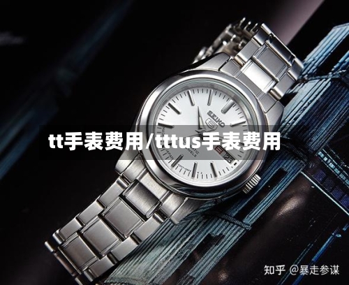 tt手表费用/tttus手表费用-第3张图片