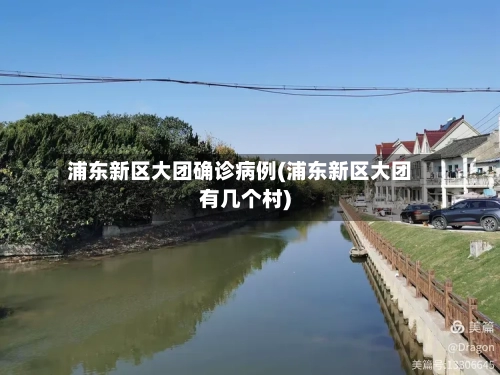 浦东新区大团确诊病例(浦东新区大团有几个村)