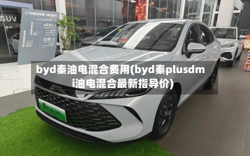byd秦油电混合费用(byd秦plusdmi油电混合最新指导价)-第3张图片