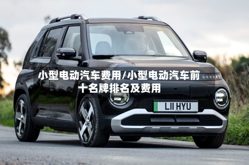 小型电动汽车费用/小型电动汽车前十名牌排名及费用