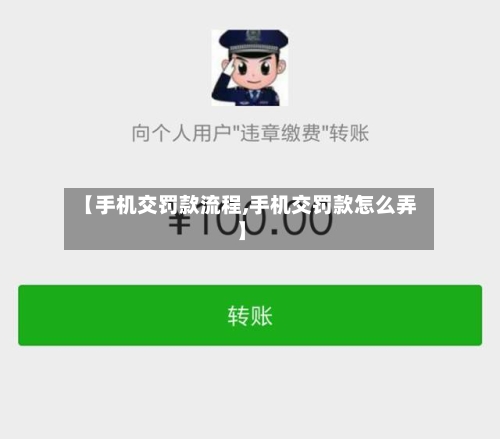 【手机交罚款流程,手机交罚款怎么弄】-第3张图片
