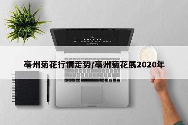 亳州菊花行情走势/亳州菊花展2020年